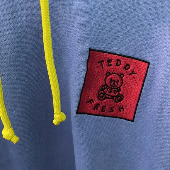 Teddy Fresh Hoodie Sweatshirt Color Multicolor Pullover pristine Large - Picture 4 of 6